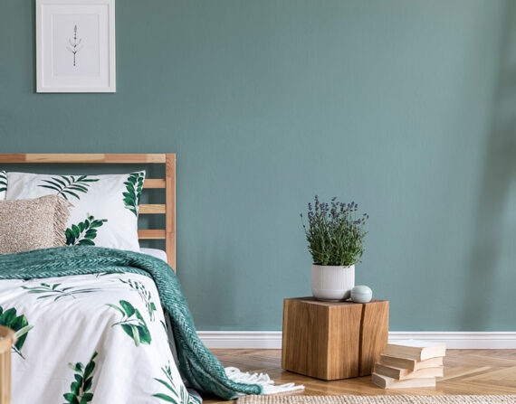 Blog Post Single4 570x447